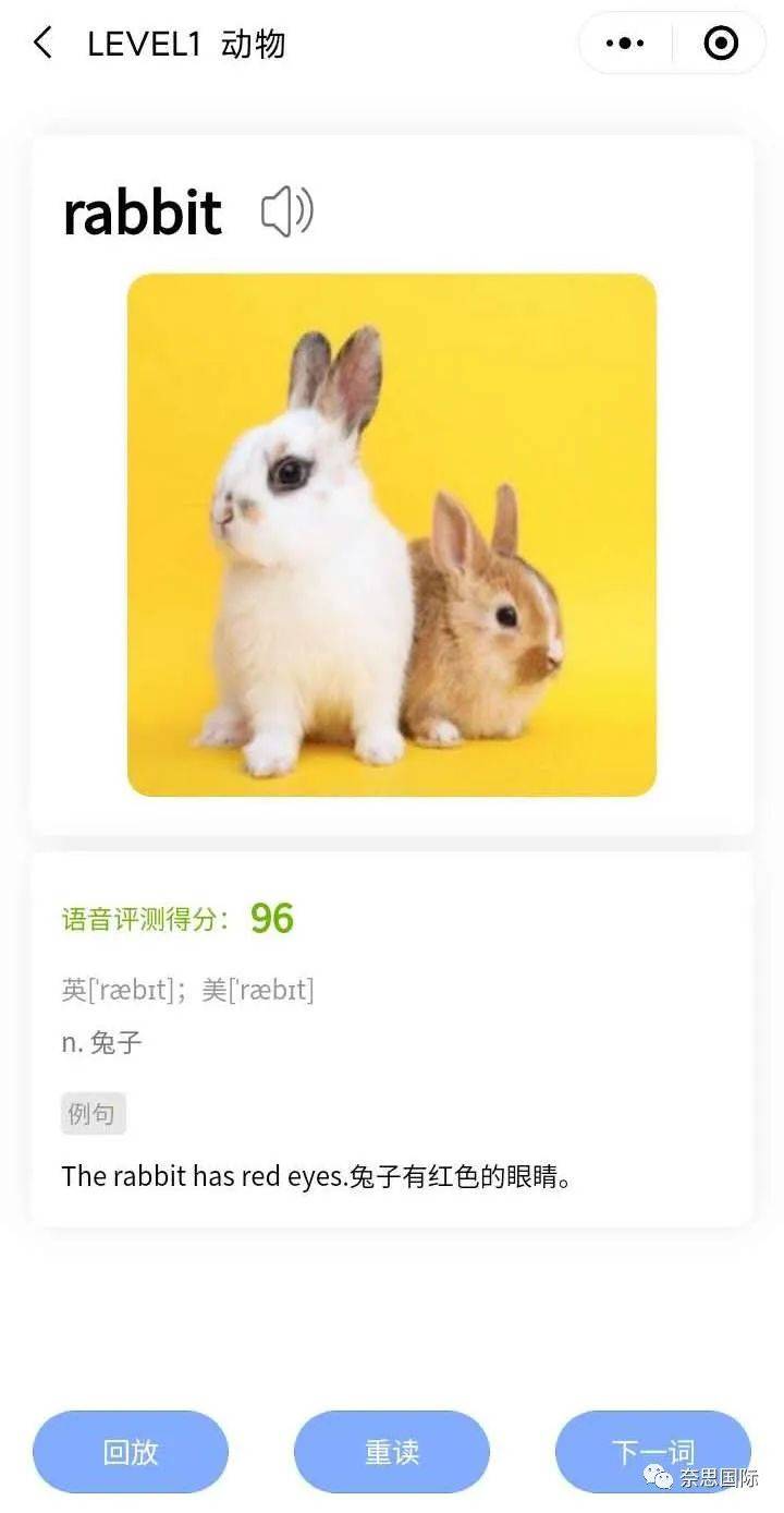 奈思（NELTS）考试为孩子的升学保驾护航