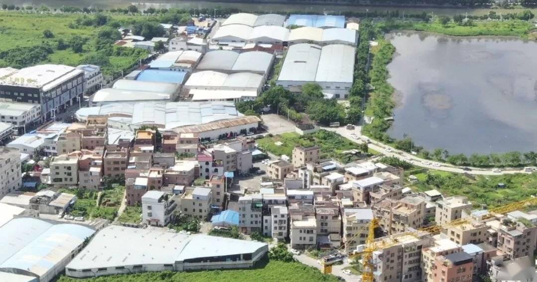 大富村旧改招商主体成员代表会议定于2020年9月7日14:30举行.