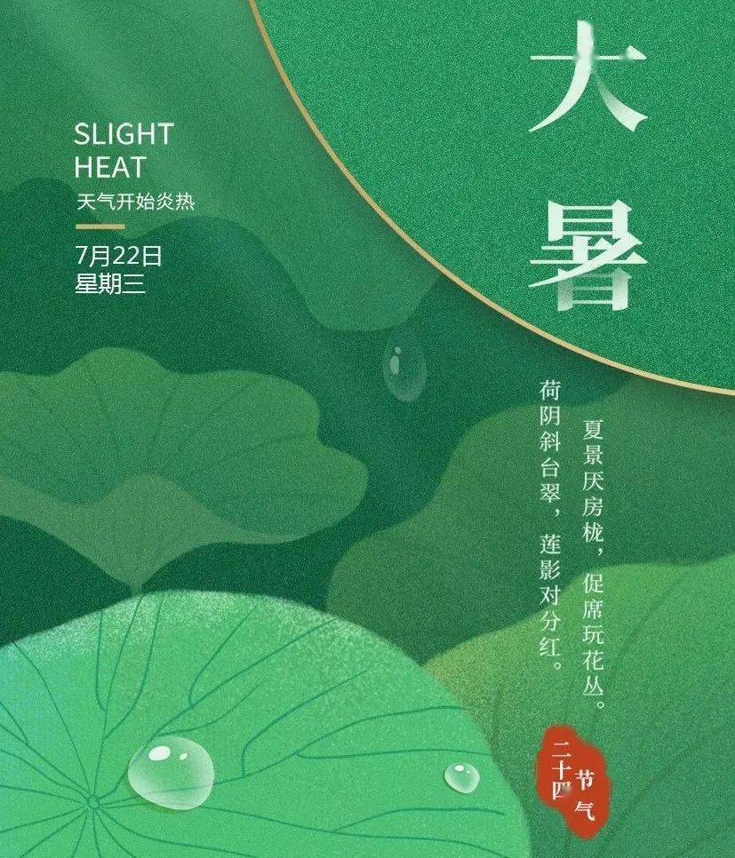 今日大暑愿君夏安