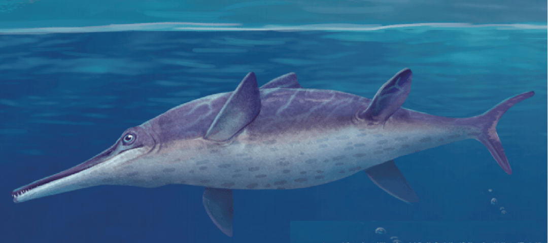 海洋科普1155海里有龙