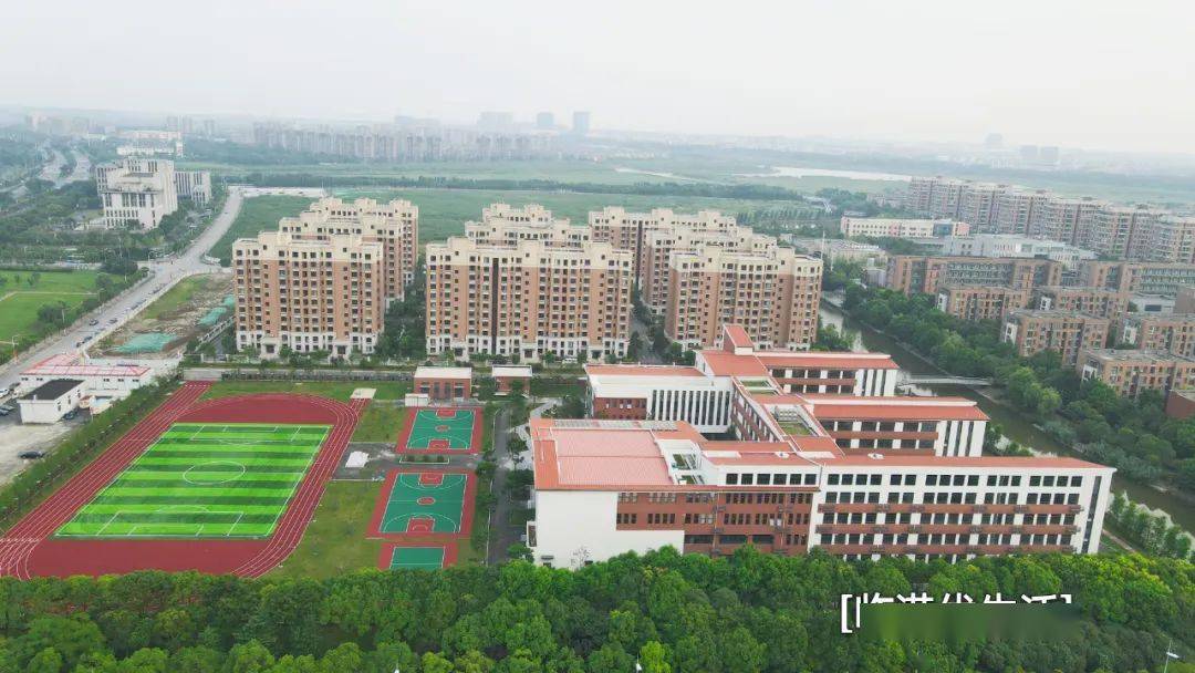 霸气临港教育再加码未来处处都是学区房