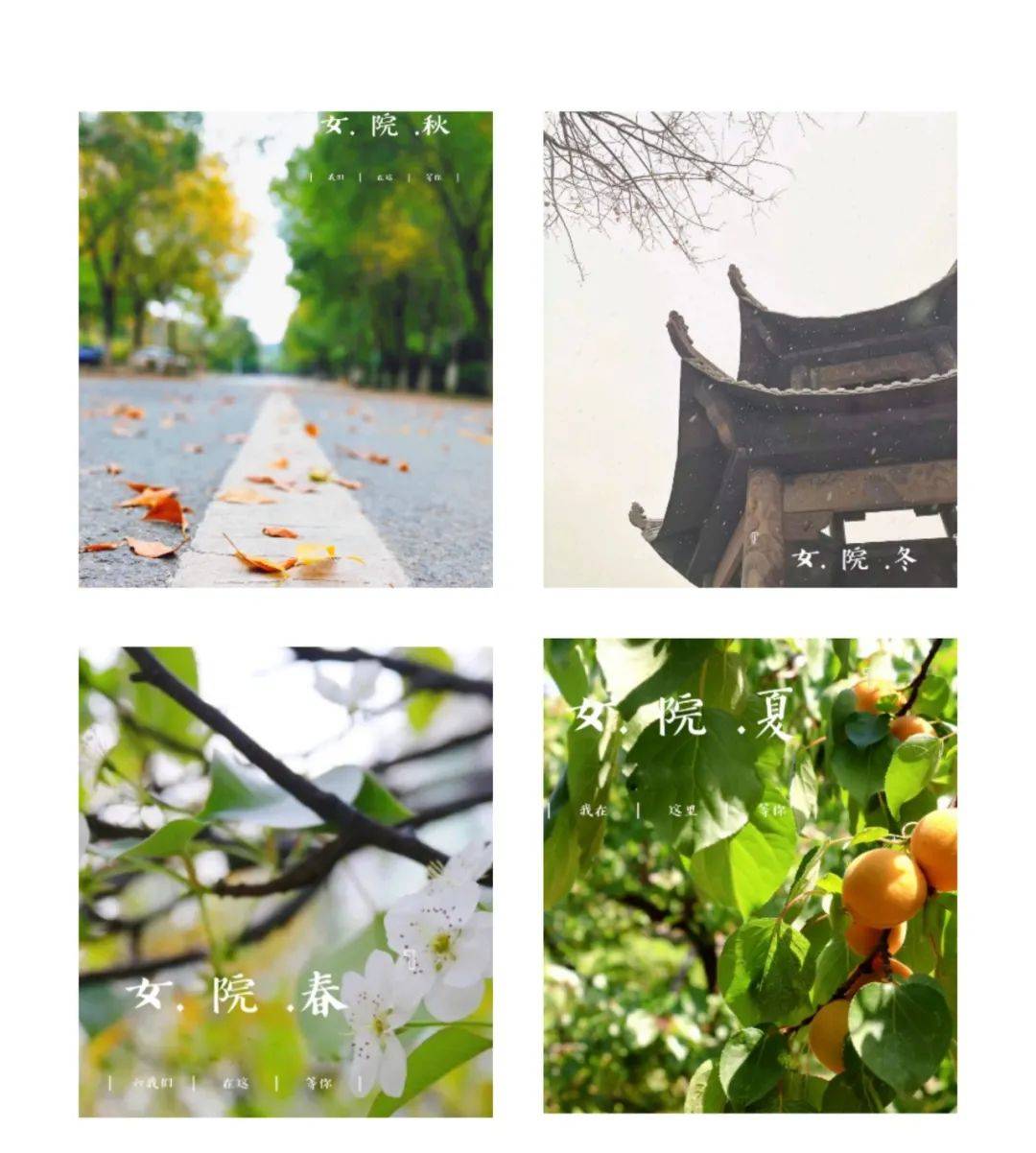 山东|招生季 | 山东女子学院“拍了拍”你招生简章了解一下