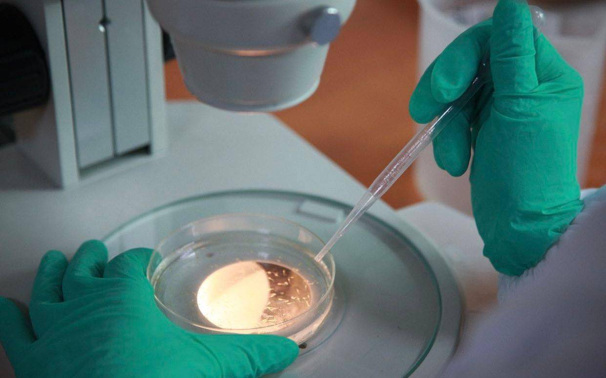 评价|无限极解锁新技术：“水中小白鼠”斑马鱼将用于筛选保健品