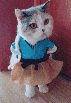 伪装|憋不住了！7款真爱隔离霜我的素颜伪装神器！