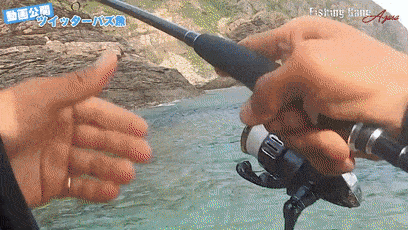 没一会,这条色彩鲜艳的怪鱼就上钩了