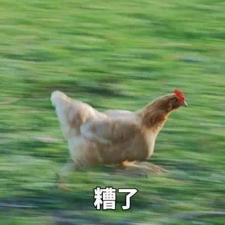 源本|今夏最火的5款身体乳,第二个跪求别停产!