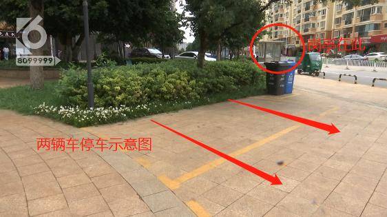 车位|小区停车场里停车被贴罚单？车主：我真是哔哔哔哔哔