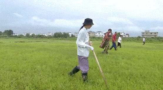 游子|汛情紧急！两封“家书”，近7000游子无畏逆行！为这样的长江“后浪”点赞→