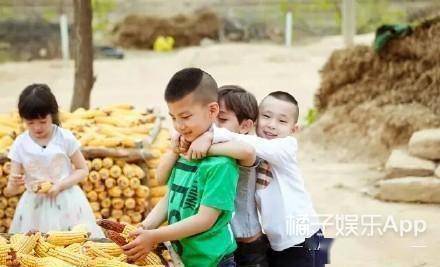 模样|原创还记得《爸爸去哪儿》的康康吗？他现在长这样