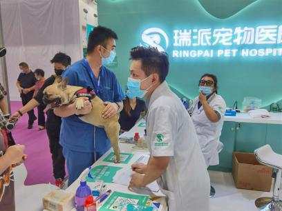 行业|来深圳感受宠萌魅力！疫情后宠物行业或迎转折，小高潮爆发可期
