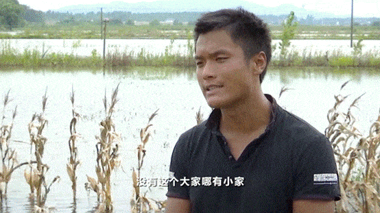 游子|汛情紧急！两封“家书”，近7000游子无畏逆行！为这样的长江“后浪”点赞→