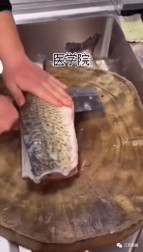 视频|迷惑？你的专业都有哪些梗？