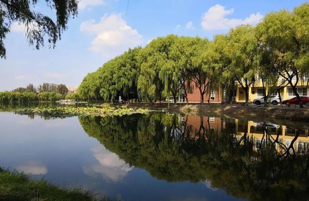 青岛理工大学全排名_深信服签约青岛理工大学琴岛学院,校企合作打造I(2)