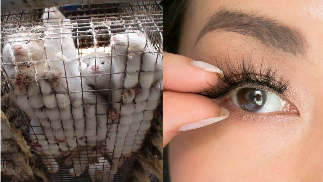 品牌|谁更OK | 大咖新面孔?跨界新玩法?神秘美妆圈的新奇花样又出现了!