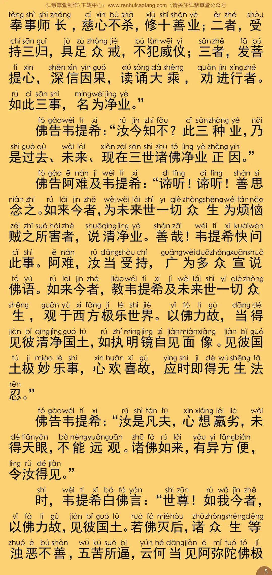 无量寿经简谱_无量寿经图片(2)