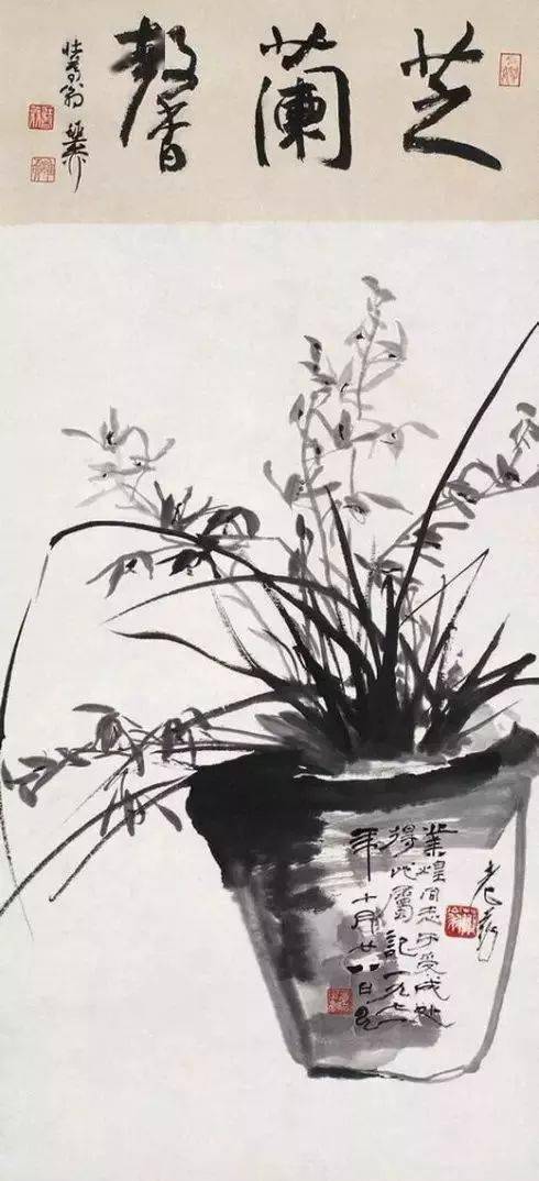 画兰| 十年画竹,百年画兰.怎样画,往下看