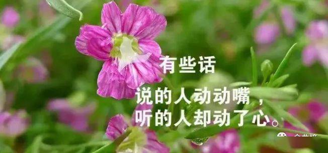 2f7277a6c89f4369b5ca42dd6fde0f08.jpeg