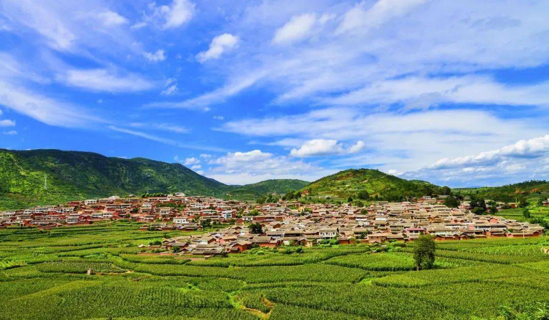 打造夏季特色文旅活动品牌,  攀枝花市清凉夏季星空露营活动暨旅游