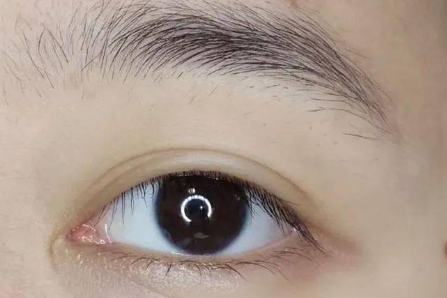 大家都在用什么画眉毛 8bc5d3da618740439b08fb9bea56768f.jpeg