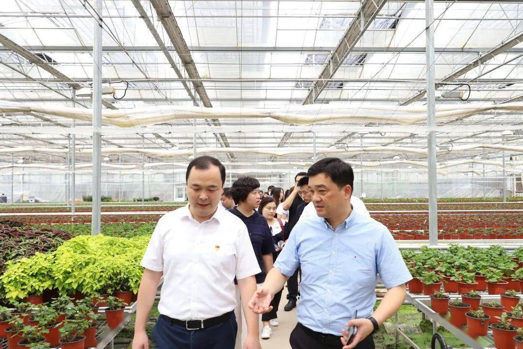 团市委副书记邬斌调研我区青年助力乡村振兴工作