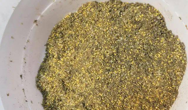 饵料|加点蚯蚓土，比买的饵料更好用自制饼饵全过程解密