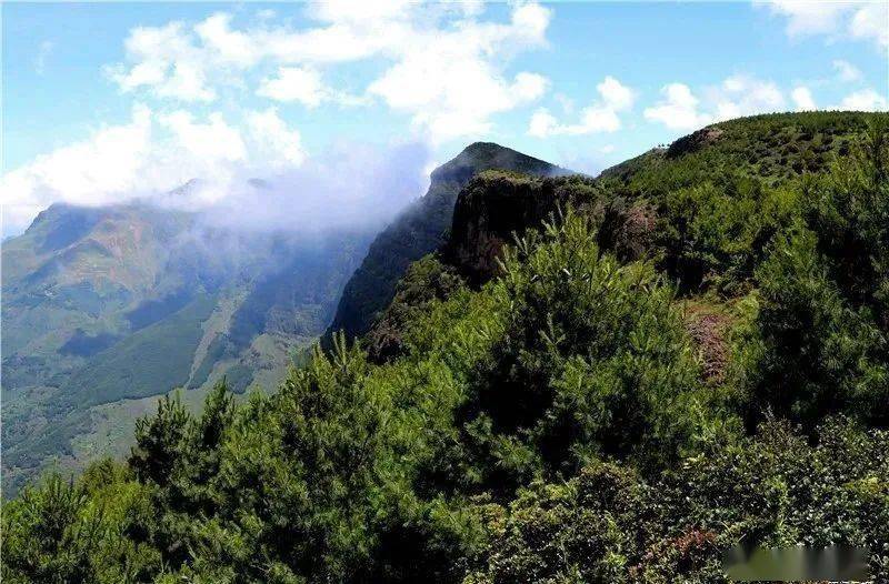 影像丨李宪章:朱提秀峰轿顶山