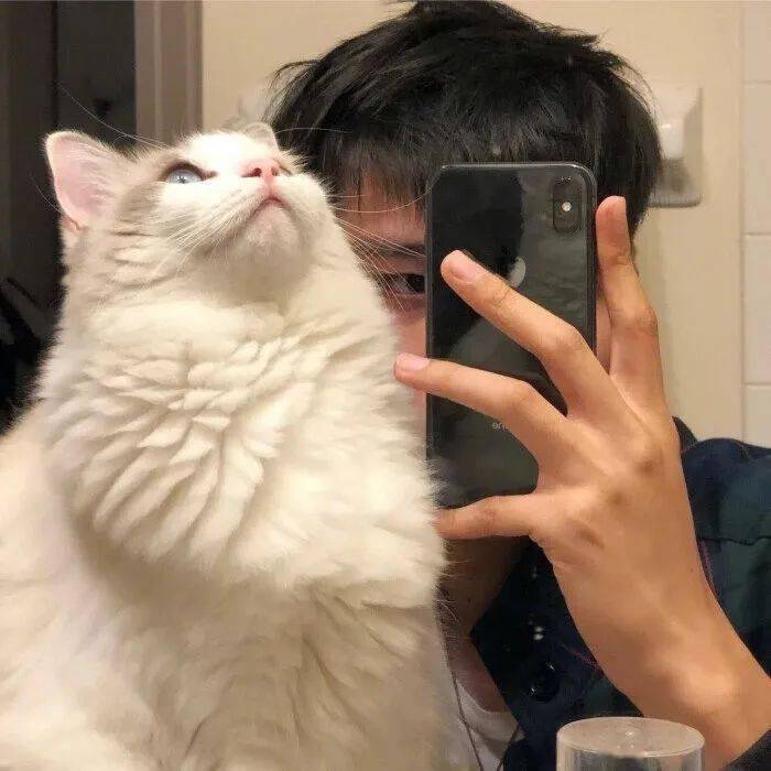 *图片来源网络,侵删 微信小程序搜 【闪萌表情】             /头像