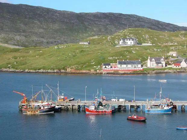 包袋|种草清单 | 几百就能入的小众包包来了！