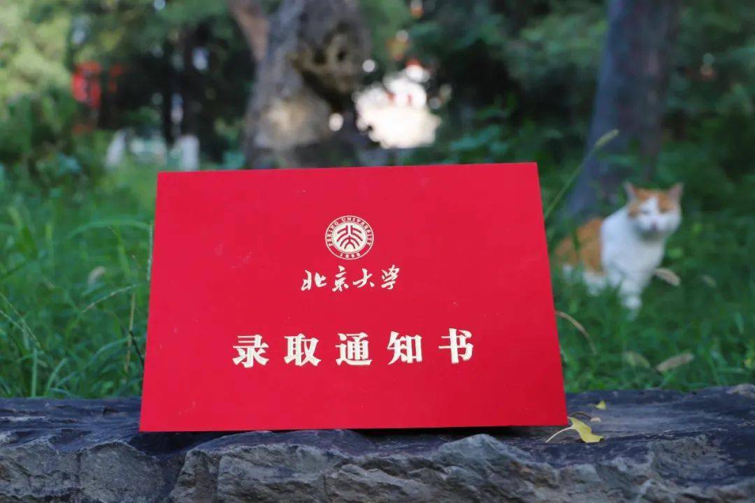新版清华大学录取通知书,火了!