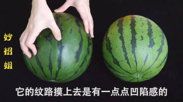 西瓜熟没熟的技巧 6e968d2e79c2490fb2b842ac335dbda5.jpeg