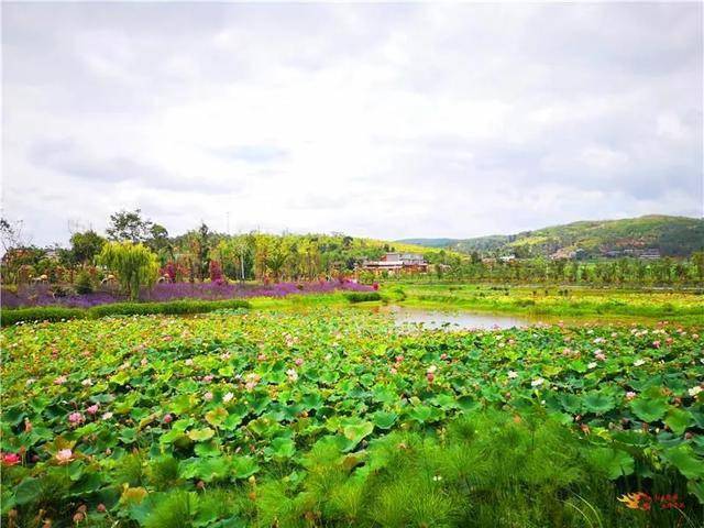 南华咪依噜风情谷咪依噜风情谷是体验民俗风情,特色美食,乡村旅游的