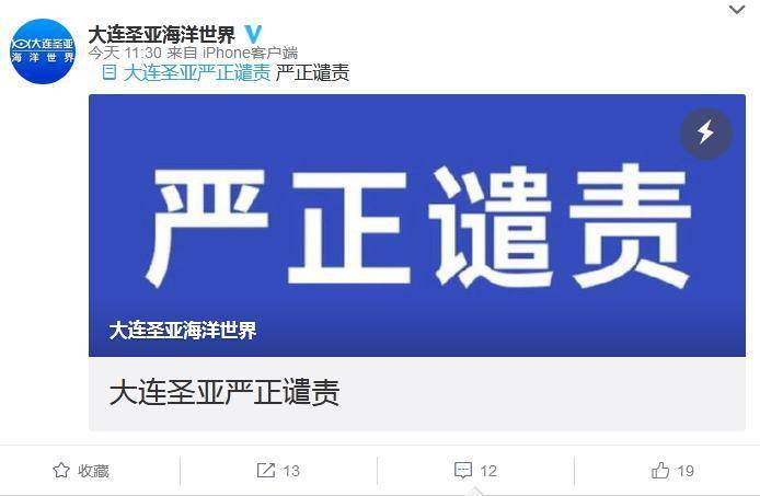 公章|报假警要公章？大连圣亚：谴责董事长杨子平此行径