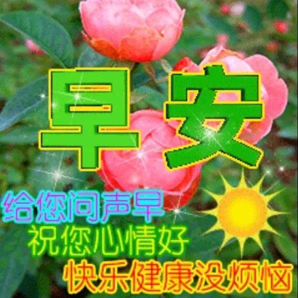 6张有创意的早上好图片带鲜花,温馨的早安快乐祝福问候语!