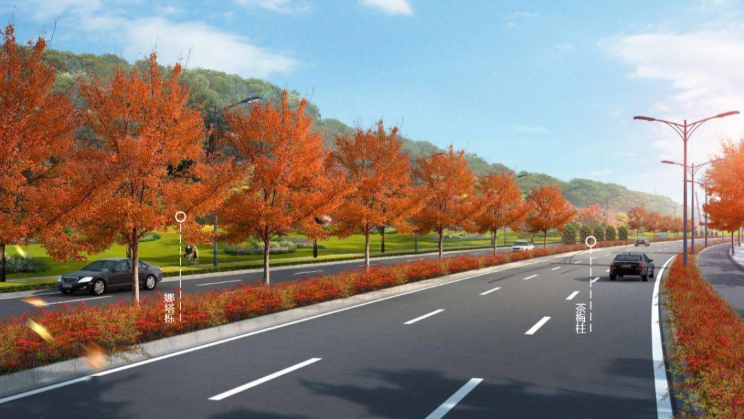 效果图流出!余杭这些道路将大变样!丨全域美丽