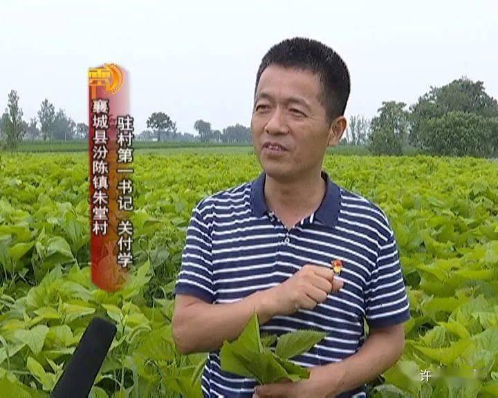 襄城县汾陈镇朱堂村驻村第一书记 关付学