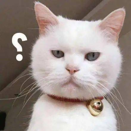 同事|三十而已,凭啥被00后同事比下去了?