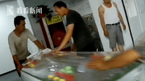 殡仪馆藏身菜市场执法人员查封5具冰棺负责人我就冻点鱼虾