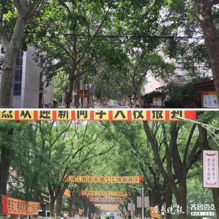 百年老|泰安：百年老校山东农业大学成影视拍摄取景地