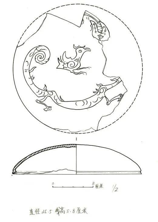 遗址|愤怒的小鸟猪,别装了!这只3200年前的猪一出土就冲上热搜