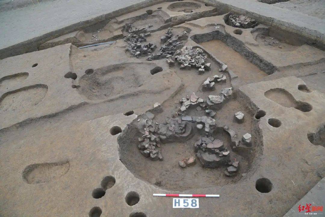 遗址|愤怒的小鸟猪,别装了!这只3200年前的猪一出土就冲上热搜