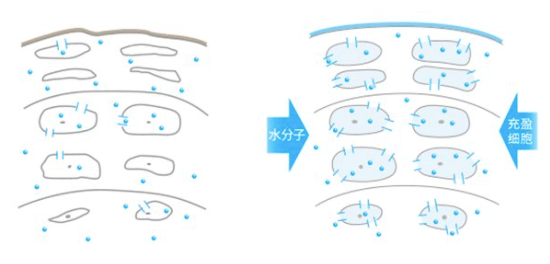 肌肤|畅销600万瓶、李佳琦推荐的爽肤水，真的值得入手吗？