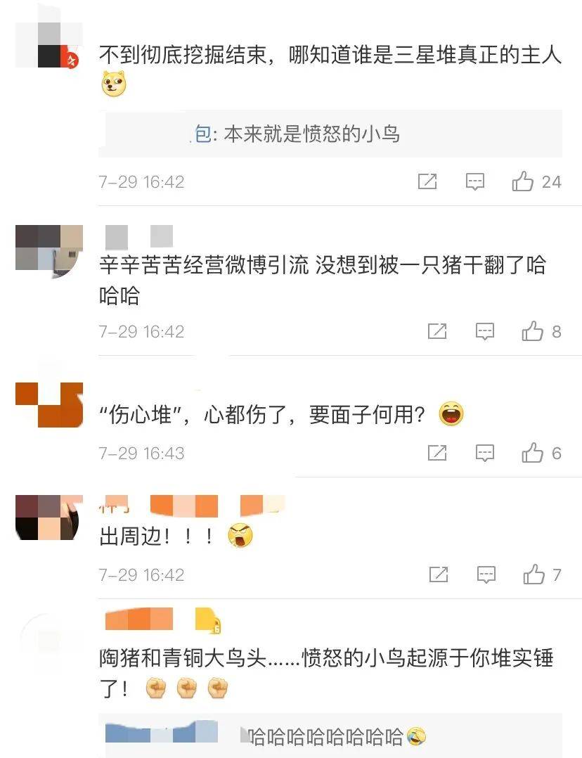 遗址|愤怒的小鸟猪,别装了!这只3200年前的猪一出土就冲上热搜