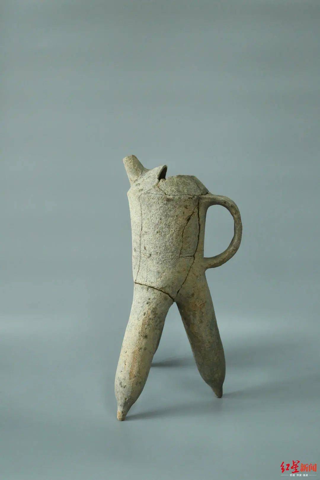 遗址|愤怒的小鸟猪,别装了!这只3200年前的猪一出土就冲上热搜