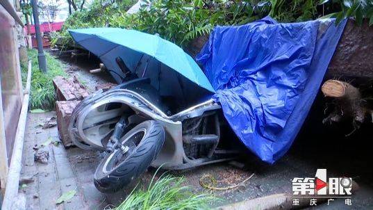 神反应!堡坎突然垮塌 女子弃车就跑逃过一劫