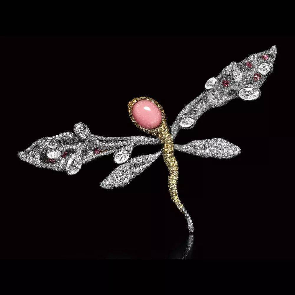 珍珠|这些世间罕见的珍珠，你拿着钱都买不到！