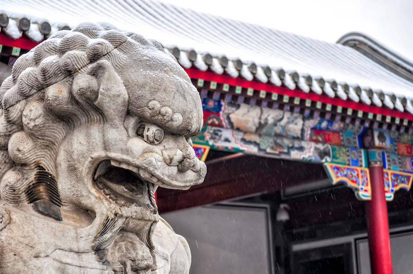 高中生|剩余时间如何度过？高一高二就保送清北的高中生