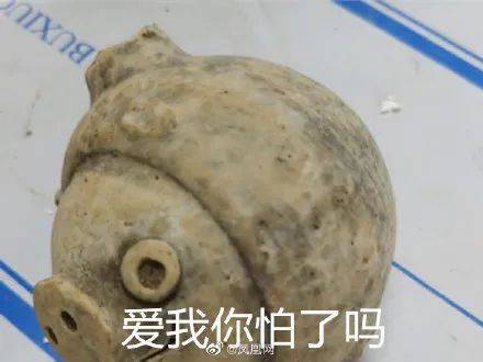 遗址|愤怒的小鸟猪,别装了!这只3200年前的猪一出土就冲上热搜