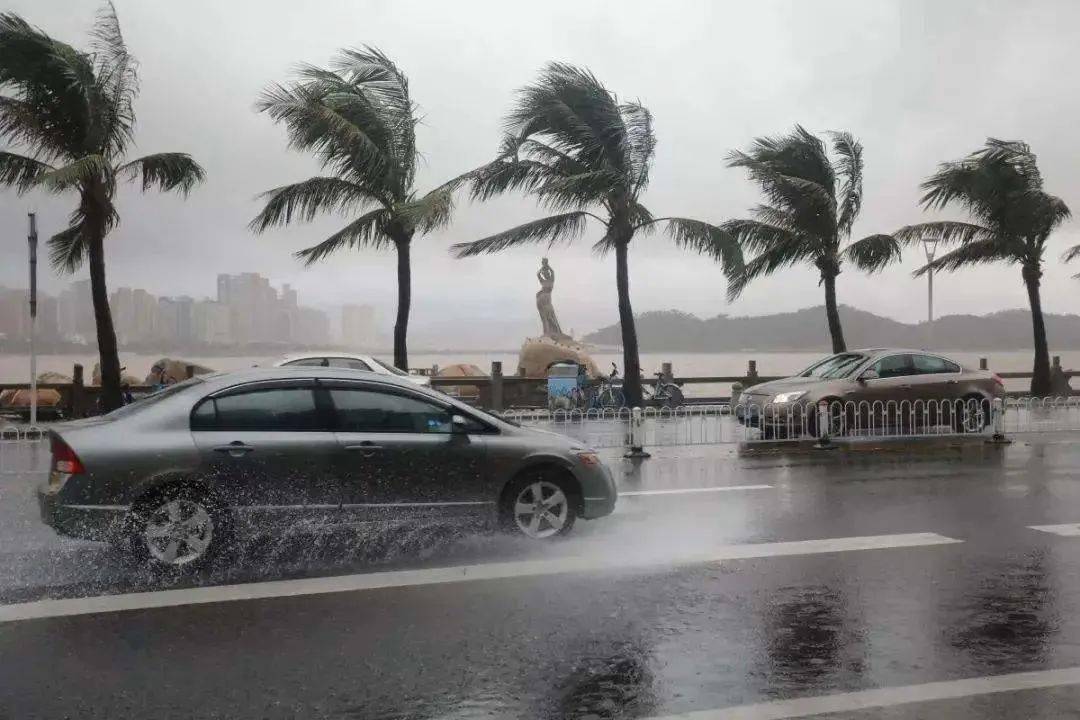 3号台风即将来袭东莞!10级大风 暴雨说来就来!