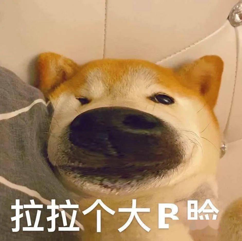 你不要拉起个大b脸