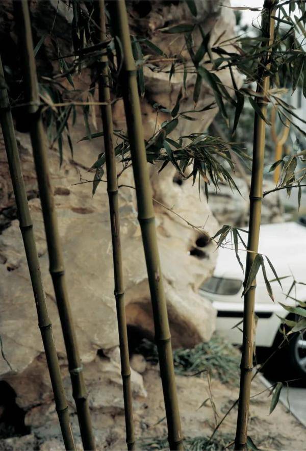 展览|最新展览丨它山之石——封岩当代摄影展